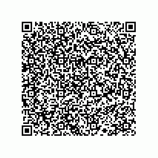vCard 78113190351