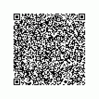 vCard 78113190355