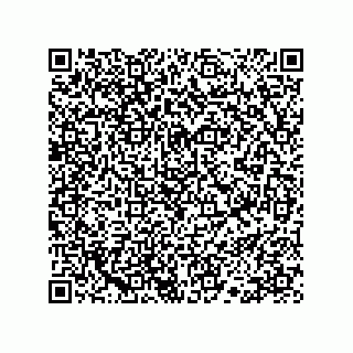 vCard 78113190359