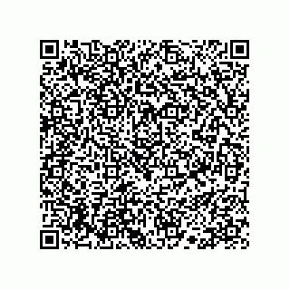 vCard 78113190369