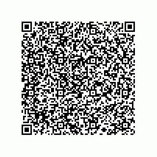 vCard 78113190370