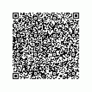 vCard 78113190373