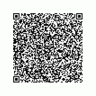 vCard 78113190374