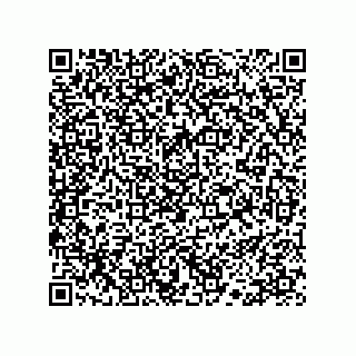 vCard 78113190375