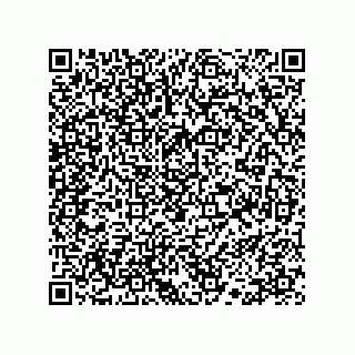 vCard 78113190377