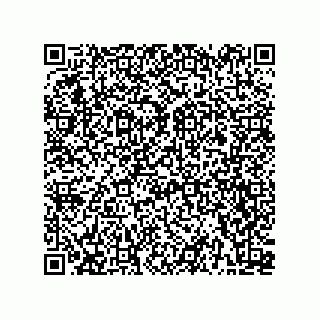 vCard 78113190379