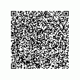 vCard 78113190380