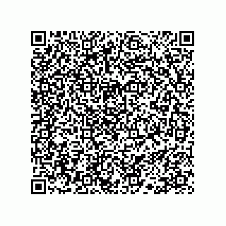 vCard 78113190381