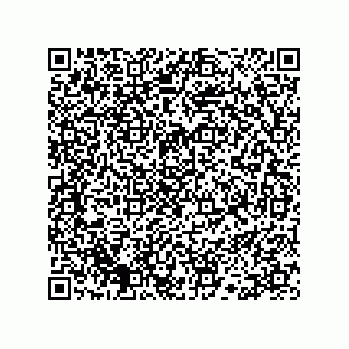 vCard 78113190382
