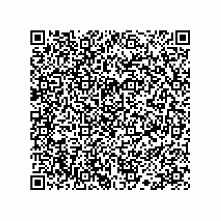 vCard 78113190383
