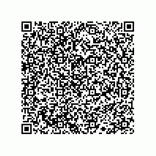 vCard 78113190384