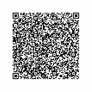 vCard 78113190385