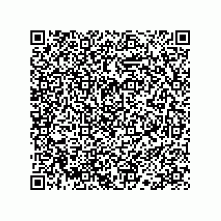 vCard 78113190386
