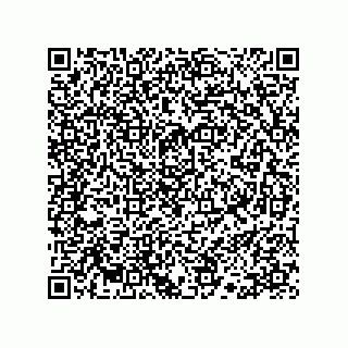 vCard 78113190387