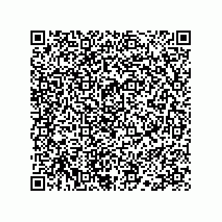 vCard 78113190388