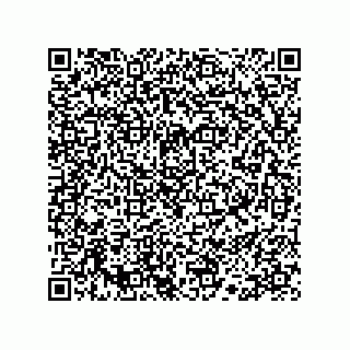vCard 78113190389