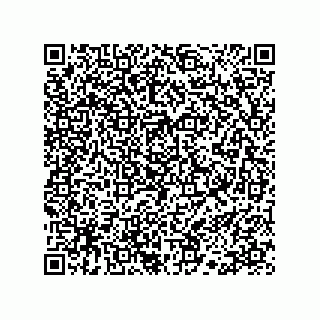 vCard 78113190390