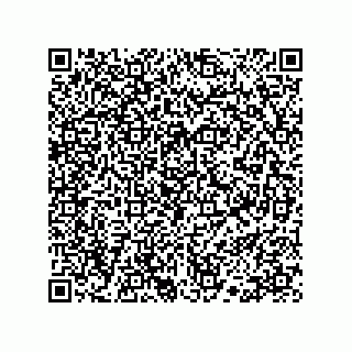 vCard 78113190393