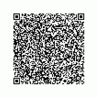 vCard 78113190396