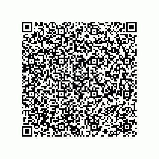 vCard 78113190399