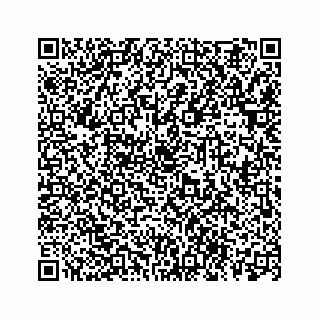 vCard 78113254300