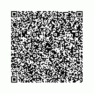 vCard 78113254331