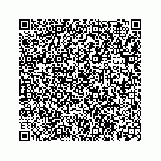 vCard 78113254381
