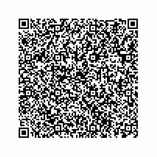 vCard 78113254387