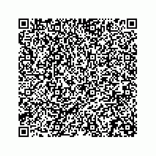 vCard 78113256301