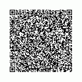 vCard 78113256303