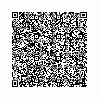 vCard 78113256304