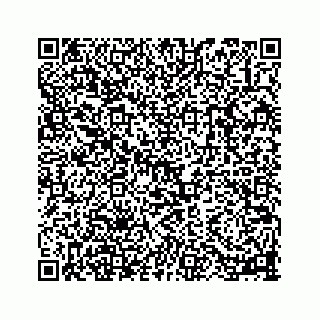 vCard 78113256305