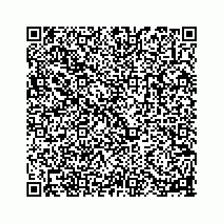 vCard 78113256306