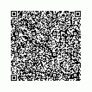 vCard 78113256308