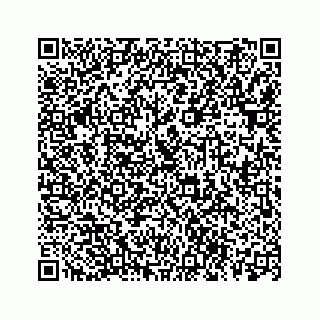 vCard 78113256309