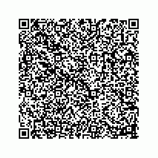 vCard 78113256310