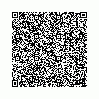 vCard 78113256311