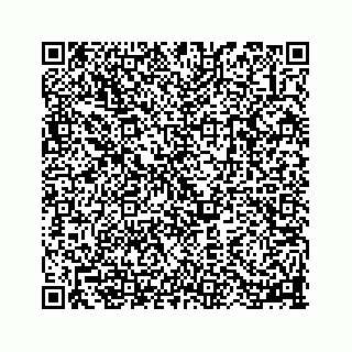 vCard 78113256315
