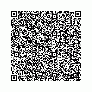 vCard 78113256319