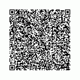 vCard 78113256322