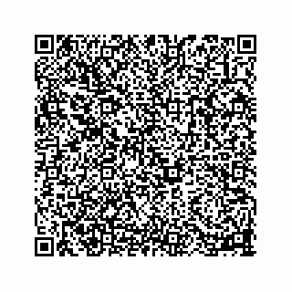 vCard 78113256329