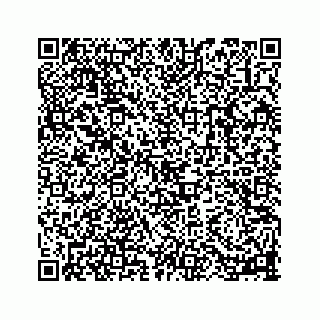 vCard 78113256331