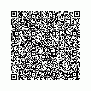 vCard 78113256333