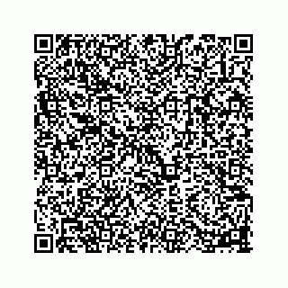 vCard 78113256334