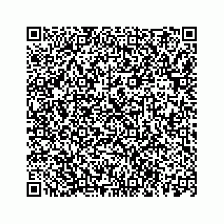 vCard 78113256338