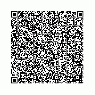 vCard 78113256357