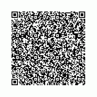 vCard 78113256358