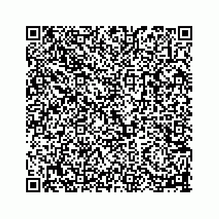 vCard 78113256370