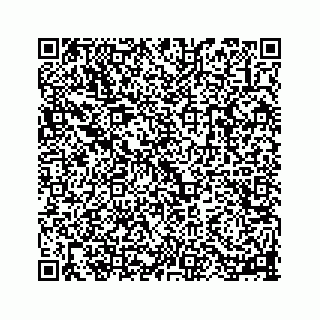vCard 78113256371