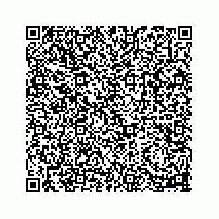 vCard 78113256379